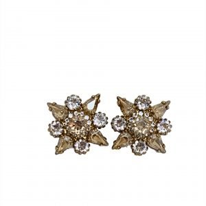 Earrings (EAR75911)