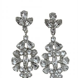 Earrings (EAR76541)