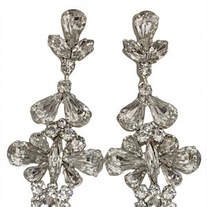 Earrings (EAR76544)