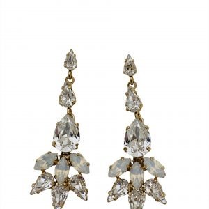 Earrings (EAR76789)
