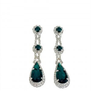 earrings (EAR76832)