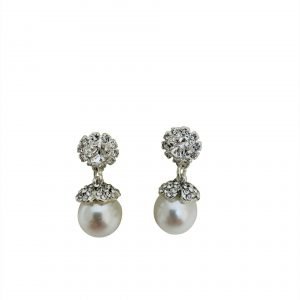 Earrings (EAR77000)